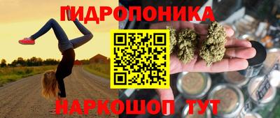 каннабис Аргун