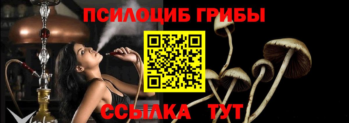 Галлюциногенные грибы мицелий  Псилоцибиновые грибы Magic Shrooms  магазин    Воткинск  Вход с VPN 